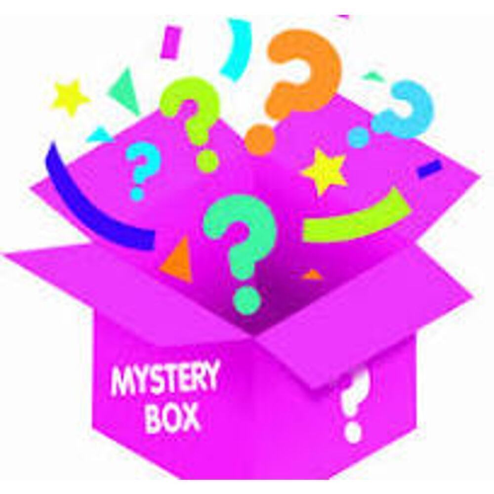Mystery Box of Boutique Tops.  Some NWT.  Mix of Long and Short Sleeve.  Size L